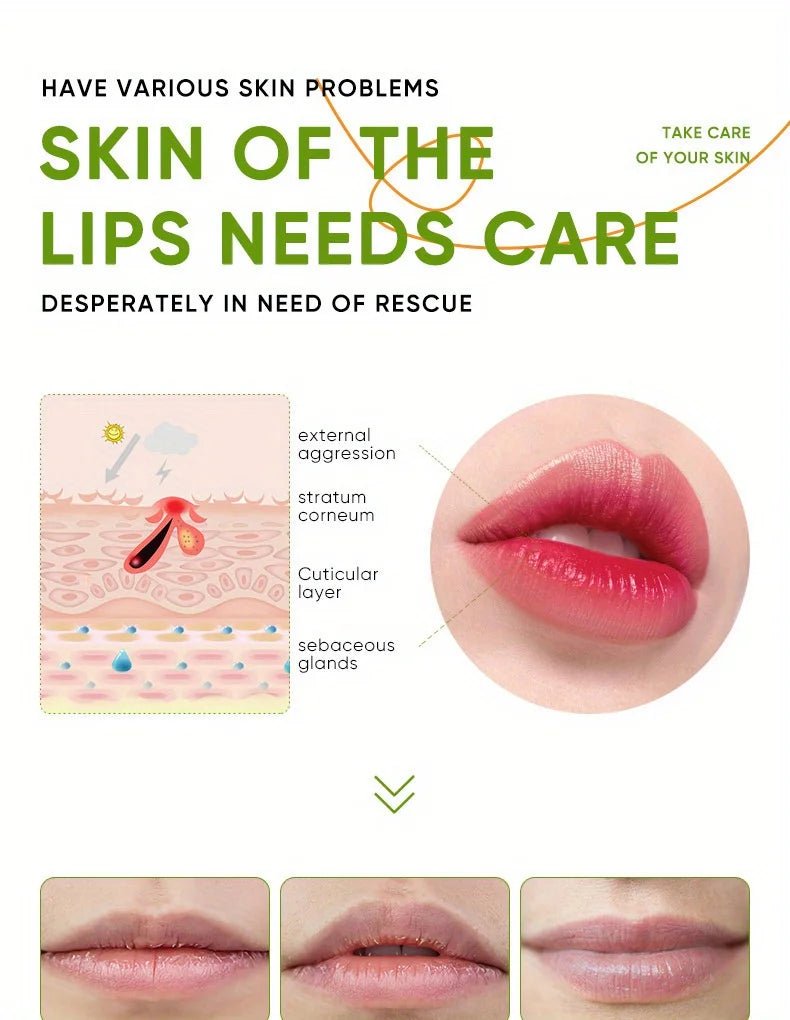 ✨ Baume à l'Aloe Vera pour Lèvres - Nourrissant Rafraîchissant Hydratant - FoytiShop